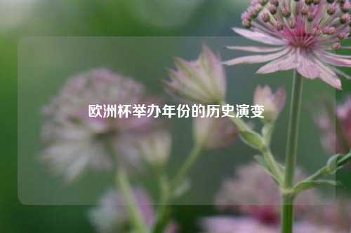 欧洲杯举办年份的历史演变