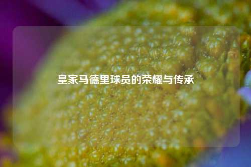 皇家马德里球员的荣耀与传承