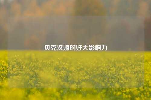 贝克汉姆的好大影响力