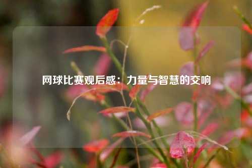 网球比赛观后感：力量与智慧的交响